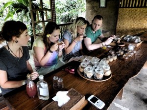Ubud_Coffee_farm