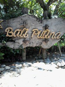 Coffee_farm_bali_pulina