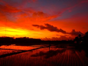 Bali_Sunrise