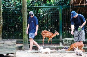 petting_bali_Zoo