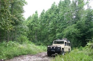 bali_national_west_park