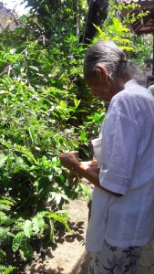 Balinese_healer_cokorda_rai_ubud