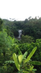 Tegenungan_waterfall