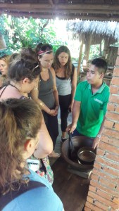 Bali coffee introduce