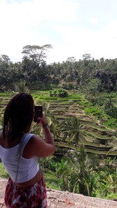 Tegalalang_ceking_rice_terrace
