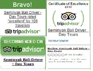 bali_driver_reviews