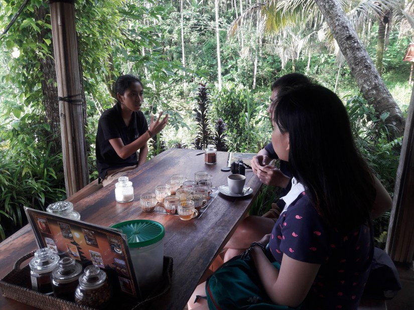Ubud_coffee_luwak
