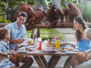 Breakfast_with_orang_utans