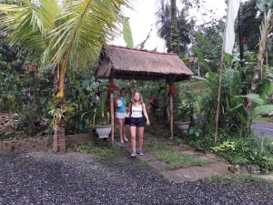 Bali_Geo_coffee_Plantation