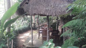 D'alas_Restaurant_Ubud