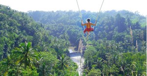 bali_swing_ubud