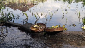 Bali_ritual_hand_reading