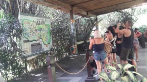 Bali_safari_and_marine_park