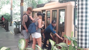 Seminyak_to_bali_safari