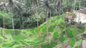 ubud_terrace_swing_river_side