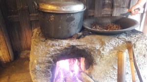 bali_luwak_coffee_original