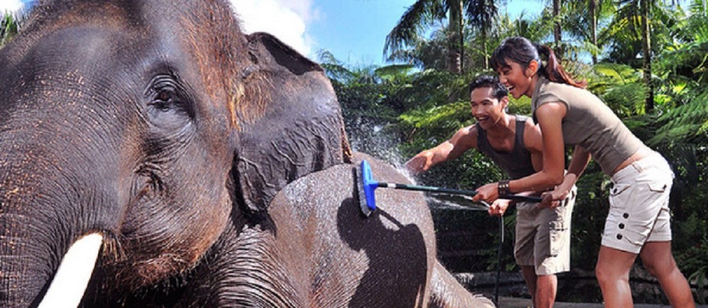 mason_safari_park_bath_and_breakafst