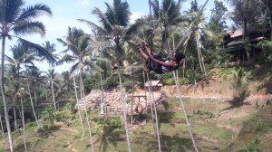 bali_swing