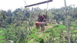 bali_swing