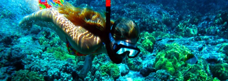 tanjung_jepun_snorkeling