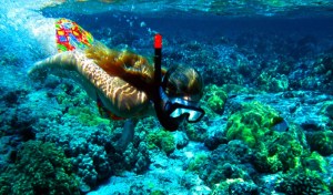 tanjung_jepun_snorkeling