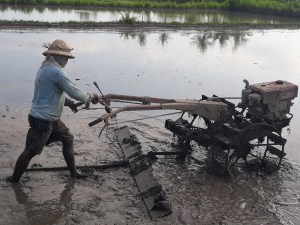 Rice field work on tracktor machine
