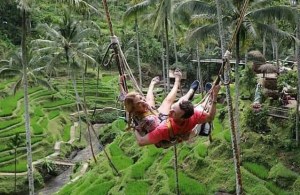 Tegalalang_Swing_Terrace