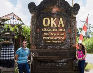 bali_coffee_plantation