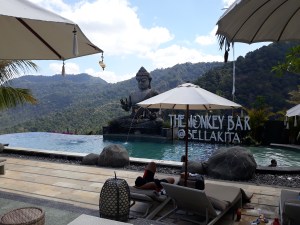 monkey_bar_bali