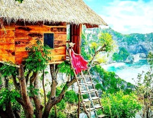 Tree_House_Penida