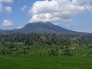 West_Bali_Rice_Terrace