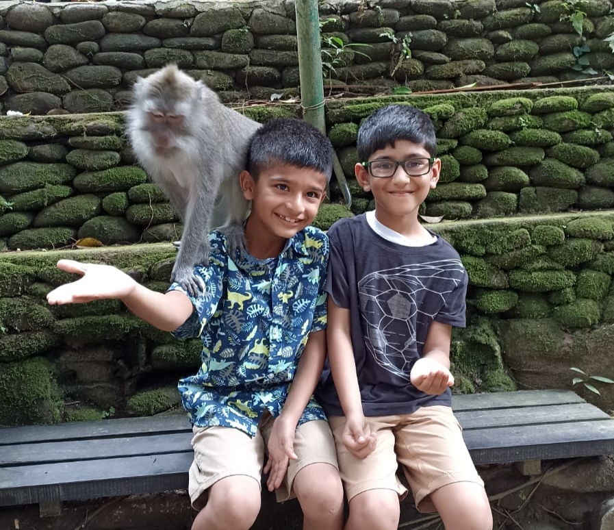 Monkey Forest Ubud