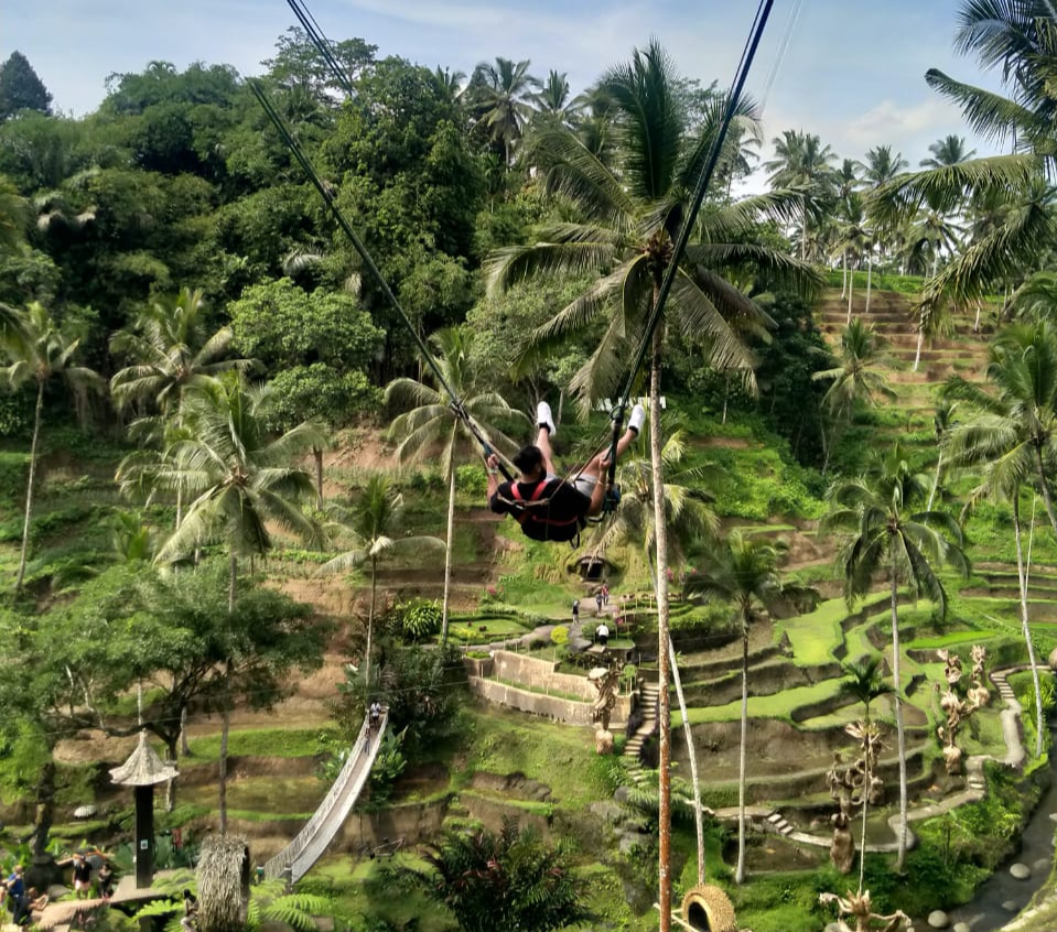 Tegalalang_Rice_Terrace