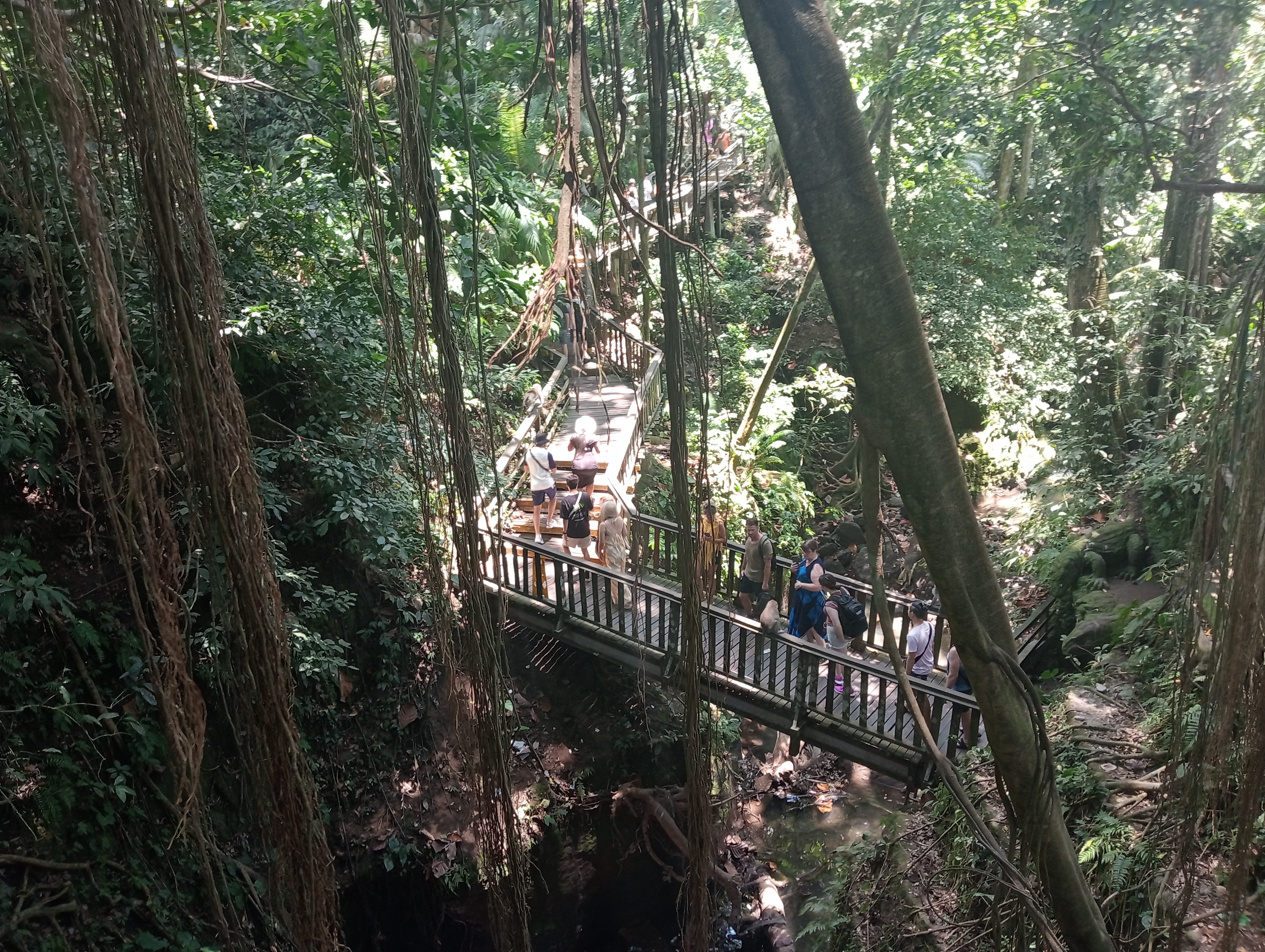 ubud_monkey_forest_bali